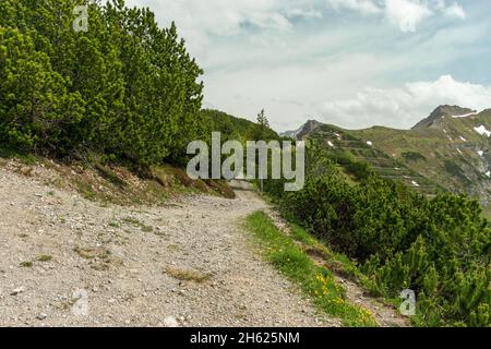 Sareis, Liechtenstein, 20. Juni 2021 Bergpanorama an einem bewölkten Tag Stockfoto