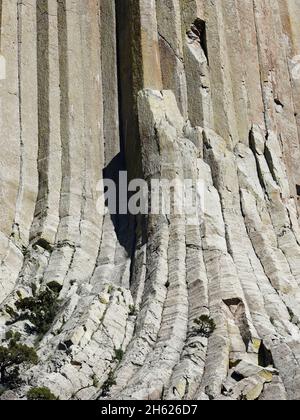 Teufelsturm, unmutiger Felsen, majestätisch, monumental, mehr als 50 Millionen Jahre alt, nationales Denkmal, Touristenort, usa, wyoming, schwarze Hügellandschaft, vulkanisches Magma Stockfoto