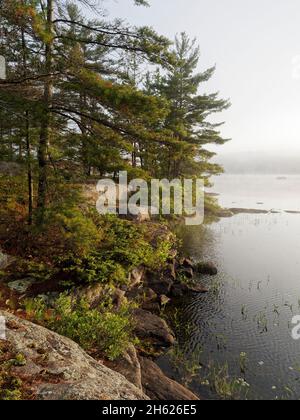 Camping in kanada, ontario, kawartha Highlands Provincial Park, Natur, Wildnis, See, Wald, Nadelbäume, Stockfoto