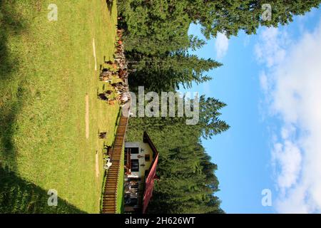 Ziegenherde auf der scheibenalm am ferchensee,Schäferhund beim Keimen,Abtrieb,almabtrieb,Berg,Waldrand,deutschland,bayern,oberbayern,mittenwald,isartal,alpenwelt karwendel Stockfoto