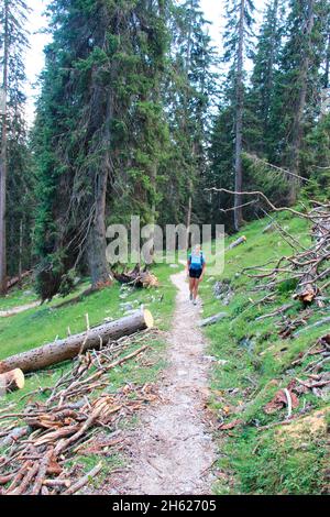 Wanderung zur krüner alm (1621 m). Junge Frau,Estergebirge,Sonnenuntergang,europa,deutschland,bayern,oberbayern,werdenfelser Land,alpenwelt karwendel,isartal,krün Stockfoto