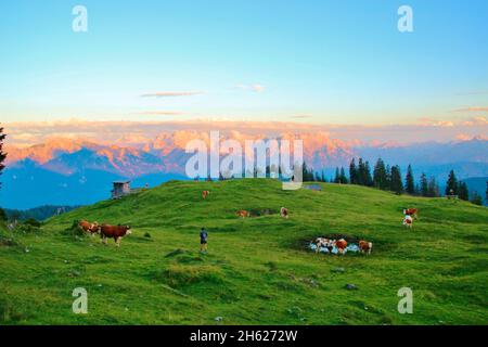 Alter Mann auf Wanderung über die Alm der krüner alm,Sonnenuntergang,karwendel,karwendelgebirge,europa,deutschland,bayern,oberbayern,werdenfelser Land,alpenwelt karwendel,isartal,krün Stockfoto