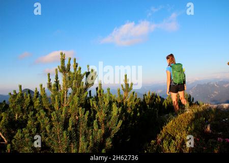 Junge Frau mit Rucksack von hinten genommen,Wanderung zu den hügelnden 1829 m,Esterbergen,Sonnenuntergang,Blick auf das karwendelgebirge,europa,deutschland,bayern,oberbayern,werdenfelser Land,alpenwelt karwendel,isartal,krün Stockfoto