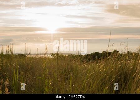 Sommerstimmung am Badestrand von stein, deutschland. Stockfoto