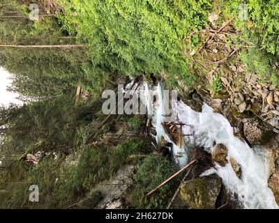 In der gilfenklamm im ridnauntal,Natur,Berge,Wasser,umgestürzte Bäume,ratschings,sterzing,Südtirol,italien Stockfoto