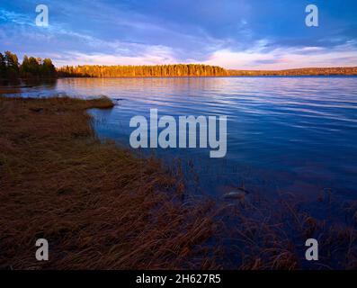 europa, schweden, dalarna, orsa, Herbst am orsa-See Stockfoto