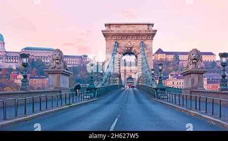 Genießen Sie den morgendlichen Spaziergang im Stadtzentrum mit Blick auf die Steinlöwen, die Kettenbrücke, den Burgberg von Buda und die Burg (Budavari Palota) im Stockfoto