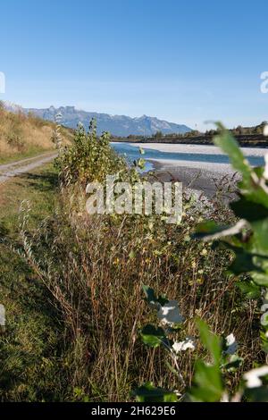 Sevelen, Schweiz, 11. Oktober 2021 am frühen Morgen im Herbst am rhein Stockfoto