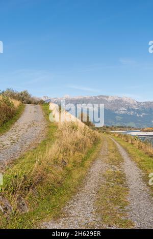 Sevelen, Schweiz, 11. Oktober 2021 am frühen Morgen im Herbst am rhein Stockfoto