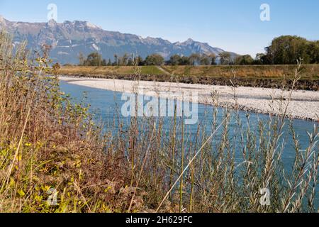 Sevelen, Schweiz, 11. Oktober 2021 am frühen Morgen im Herbst am rhein Stockfoto