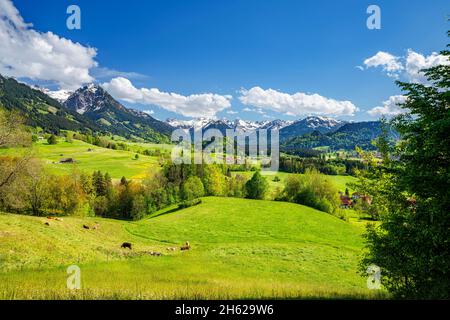 Idyllische Berglandschaft im oberallgäu an einem sonnigen Frühlingstag. Grüne Wiesen, Wälder und schneebedeckte Berge unter blauem Himmel im illertal. malerwinkel, allgäuer alpen, bayern, deutschland, europa Stockfoto