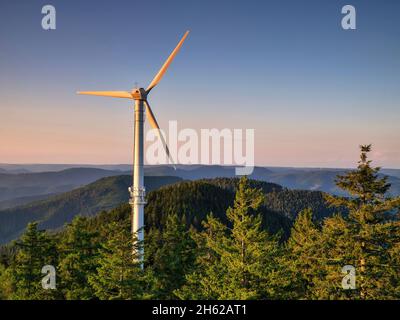 Blick vom brandenkopf Turm über den zentralen Schwarzwald Stockfoto