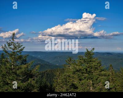 Blick vom brandenkopf Turm über den zentralen Schwarzwald Stockfoto