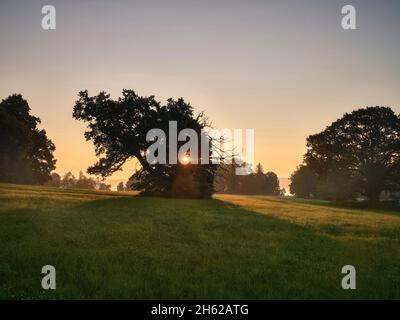 Im bernrieder Park, bernried am starnberger See Stockfoto