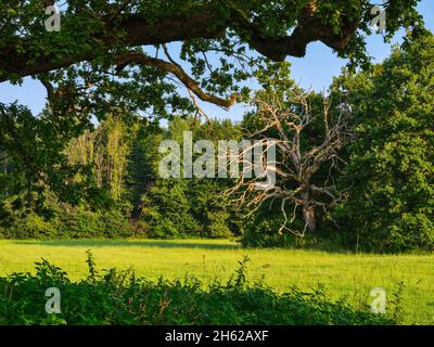 Im bernrieder Park, bernried am starnberger See Stockfoto