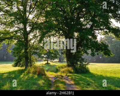 Im bernrieder Park, bernried am starnberger See Stockfoto