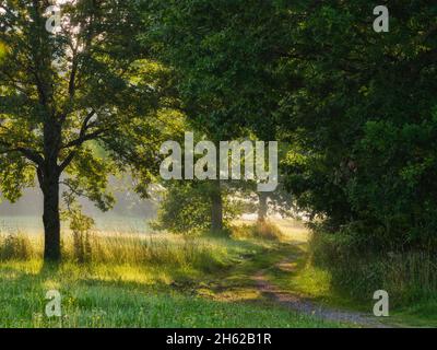 Im bernrieder Park, bernried am starnberger See Stockfoto