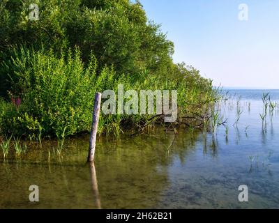 Im bernrieder Park, bernried am starnberger See Stockfoto