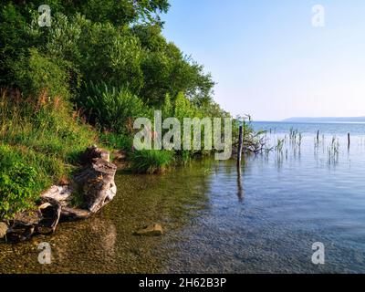 Im bernrieder Park, bernried am starnberger See Stockfoto