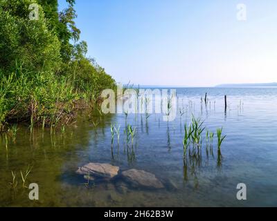 Im bernrieder Park, bernried am starnberger See Stockfoto
