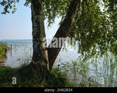 Im bernrieder Park, bernried am starnberger See Stockfoto