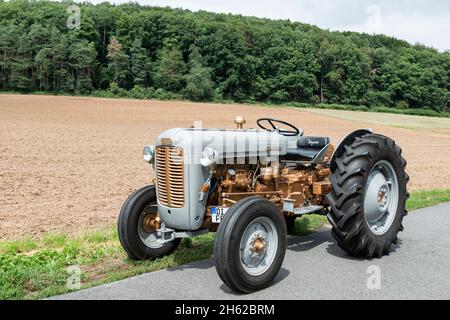 breuberg, hessen, deutschland, massey-ferguson fe 35 Traktor, Hubraum 2550 ccm, 35 ps, Baujahr 1960 Stockfoto