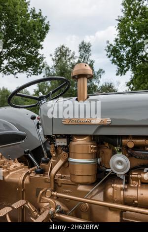 breuberg, hessen, deutschland, massey-ferguson fe 35 Traktor, Hubraum 2550 ccm, 35 ps, Baujahr 1960 Stockfoto