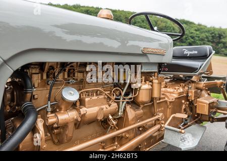 breuberg, hessen, deutschland, massey-ferguson fe 35 Traktor, Hubraum 2550 ccm, 35 ps, Baujahr 1960 Stockfoto