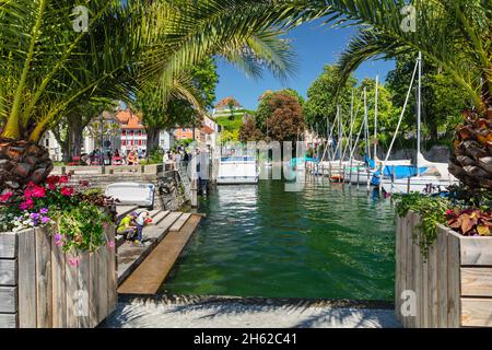 seepromenade im Frühling,ueberlingen,Bodensee,baden-württemberg,deutschland Stockfoto