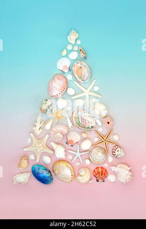 Abstrakter Muschelweihnachtbaum. Sommer Symbol für alternative südlichen Hemisphäre Weihnachtskonzept auf pastellrosa blauen Hintergrund. Flach liegend, Draufsicht. Stockfoto