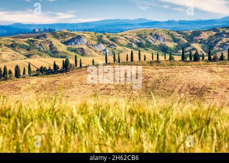 Wüste accona bei asciano mit den Felsformationen der Biancane,crete senesi,asciano,Provinz siena,toskana,italien Stockfoto