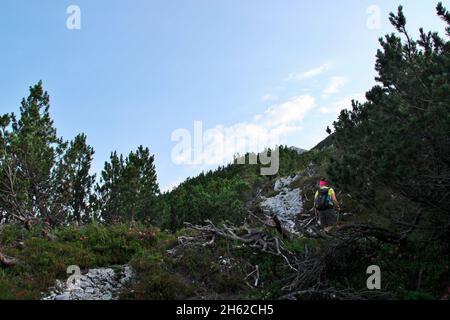 Frau,traumhafte Wanderung zum Gipfel der Brunnsteinspitze (2197 m),Wanderweg,Traumweg,Alpenrosen,österreich,tirol,scharnitz,naturpark karwendel, Stockfoto