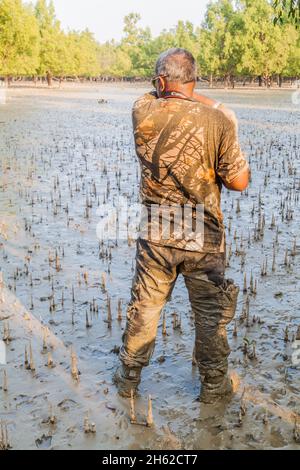 SUNDARBANS, BANGLADESCH - 14. NOVEMBER 2016: Tourist in einem Mangrovenwald von Sundarbans, Bangladesch. Stockfoto