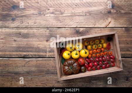 Holzkiste mit einer bunten Auswahl an Tomaten, verschiedenen Sorten wie Borange, monterosa und Heriloom Stockfoto