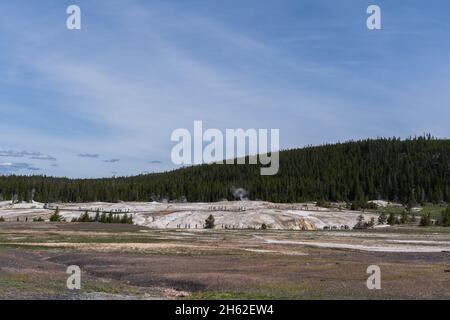 Weitaufnahme der Old Faithful in Yellowstone Stockfoto