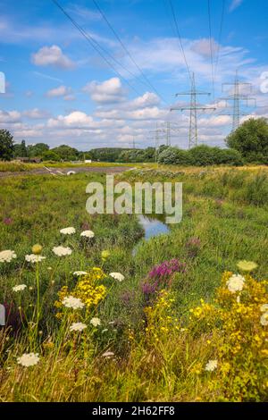 bottrop, Nordrhein-westfalen, deutschland - renaturierter Roggen, der Nebenfluss der emscher, wurde zu einem naturnahen Gewässer umgestaltet,Hochwasserschutz durch neu gestaltete Hochwasserflächen,der Roggen ist nach dem Bau eines parallelen Kanals nun abwasserfrei,gehört zum emscher-Flusssystem und damit zum emscher-Umbau,war früher ein Teil Offener, oberirdisch abwassernder Abwasserkanal, Mischwasserkanal mit Oberflächenwasser und Abwasser. Stockfoto