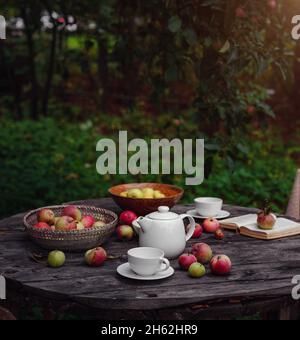 Schöner Herbst Stillleben in Apfelgarten, alten Tisch mit Tasse, Teekannen, Äpfel und Buch. Herbst-Kurzurlaub, Apfelernte und Erntedankfest con Stockfoto