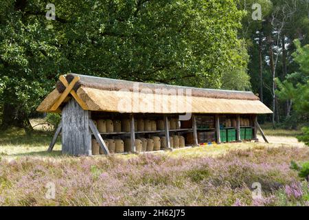 Bienenhaus in der lüneburger Heide, niedersachsen, deutschland, europa Stockfoto