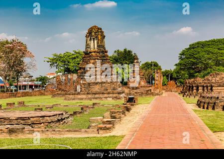 Tempelturmruinen, Prang und Chedi, wat mahathat, wat maha That, buddhistischer Tempelkomplex, erbaut 1374 unter König Borommaracha i, ayutthaya historischer Park, ayutthaya, thailand, asien Stockfoto