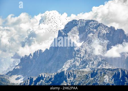 Vogelschar, der vor der nordwestlichen Seite des Monte civetta, der dolomiten, alleghe, belluno, veneto, italien fliegt Stockfoto