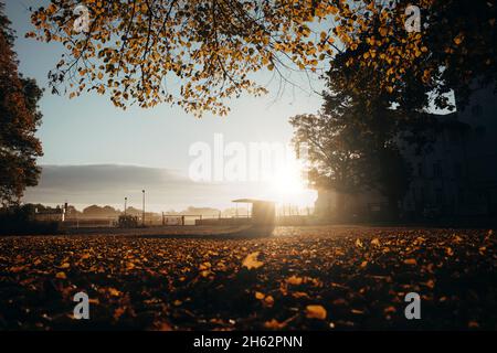 rennbahn scheibenholz,clara-zetkin-Park,leipzig,sachsen,deutschland Stockfoto