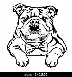 Englische Bulldogge schwarz Kontur Porträt. Hundekopf in Vorderansicht Vektordarstellung isoliert auf Weiß. Für Dekoration, Design, Druck, Poster, Postkarte Stock Vektor