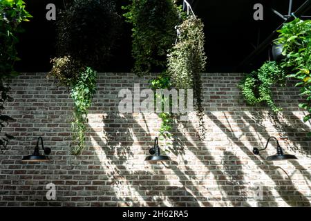 Innenraum des Cafés oder Restaurants mit Ziegelwand, hängenden Pflanzen und Lampen Stockfoto