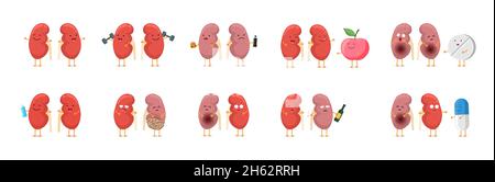 Lächelnd stark gesund und traurig krank ungesund Niere niedliche Charaktere gesetzt. Medizinische menschliche Urogenitalsystem innere Organanatomie Symbol Sammlung. Vektor-isolierte eps-Abbildung Stock Vektor