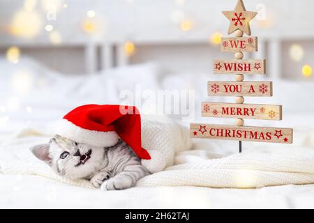 Weihnachten lächelnde Katze Karte Wir wünschen Ihnen ein Frohe Weihnachten. Wenig neugierig lustig gestreiften schottischen Falte Kätzchen in Weihnachten roten Weihnachtsmann Hut auf dem Bett zu Hause. Stockfoto