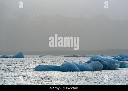 Eisberge schweben auf dem Wasser der jokulsarlon Gletscherlagune, Abendstimmung, vatnajokull Nationalpark, island Stockfoto