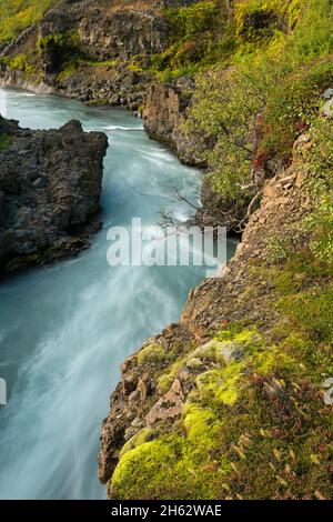 Der Verlauf der Hvítá, in der Nähe der Barnafoss und hraunfossar Wasserfälle in der Nähe von Húsafell, island, West island Stockfoto