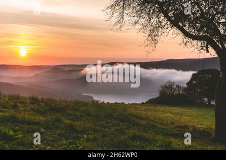 Baum mit Schaukel und Blick auf den rursee Stockfoto