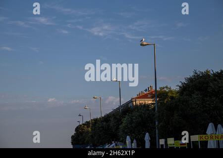 Impressionen von zadar,dalmatien,kroatien Stockfoto