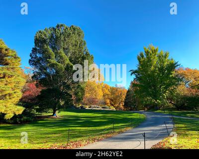 Bronx, NY, USA - 13. Nov 2021: Einer von vielen Fußgängerwegen im New York Botanical Garden Stockfoto